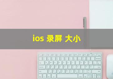 ios 录屏 大小